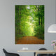 Forest Clearing