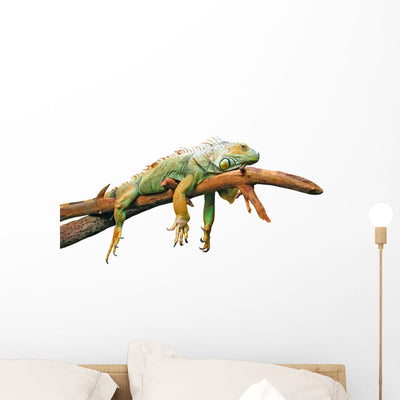 Lazy Iguana Lizard Wall Decal shown on a wall