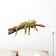 Lazy Iguana Lizard Wall Decal