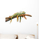 Lazy Iguana Lizard Wall Decal