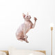 Hairless Sphinx Cat Wall Decal