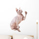 Hairless Sphinx Cat Wall Decal