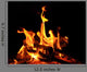 Camp Fire Open Fire