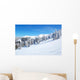 Free Ride Area Chopok Wall Mural