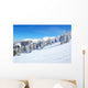 Free Ride Area Chopok Wall Mural