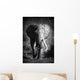 Elephant Bull Artistic Processing Wall Mural