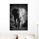 Elephant Bull Artistic Processing Wall Mural
