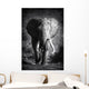 Elephant Bull Artistic Processing Wall Mural