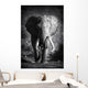 Elephant Bull Artistic Processing Wall Mural
