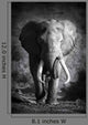 Elephant Bull Artistic Processing Wall Mural