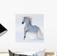 Galloping Snow-white Horse