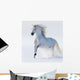 Galloping Snow-white Horse