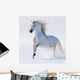 Galloping Snow-white Horse