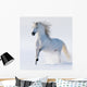 Galloping Snow-white Horse