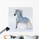 Galloping Snow-white Horse