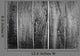 Abstract Wood Texture or