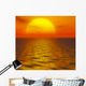 Sunset Orange