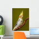 Cockatiel Parrot Wall Mural