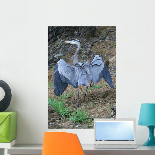 Outstretched Wings Wall Mural
