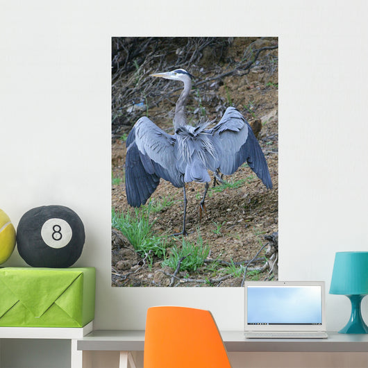 Outstretched Wings Wall Mural