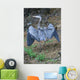 Outstretched Wings Wall Mural