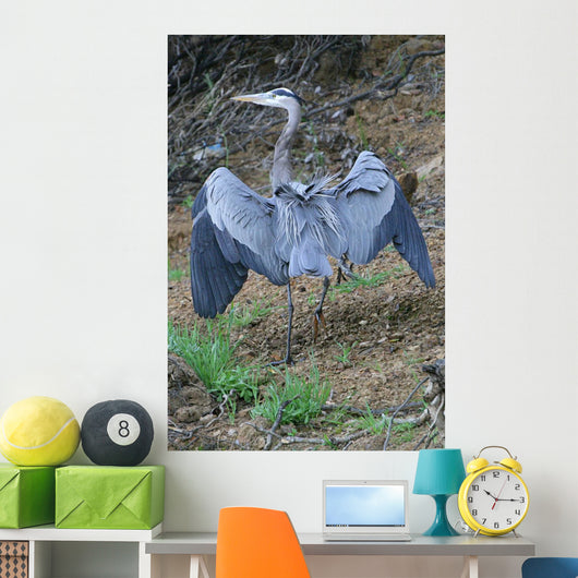 Outstretched Wings Wall Mural