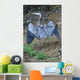 Outstretched Wings Wall Mural