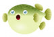 Illustration Puffer Fish Wall Decal