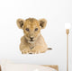 Lion Cub (3 months) Wall Decal