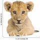 Lion Cub (3 months) Wall Decal