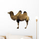 camel Wall Decal