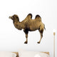 camel Wall Decal