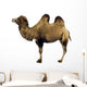 camel Wall Decal