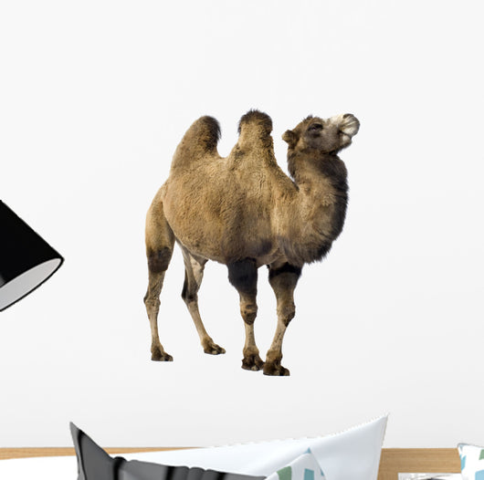 camel Wall Decal