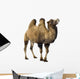 camel Wall Decal