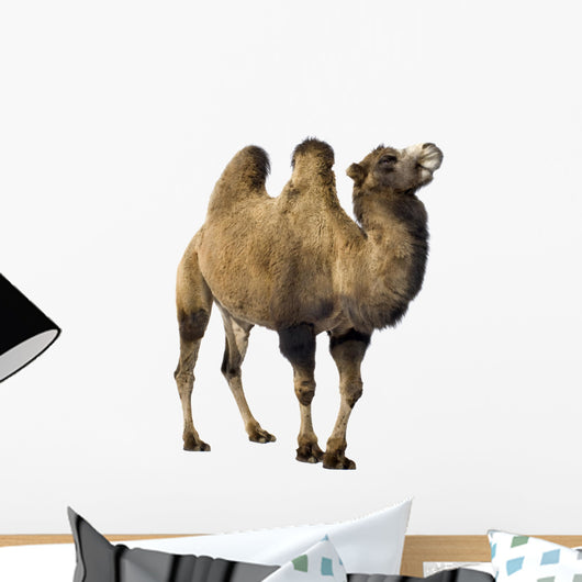 camel Wall Decal
