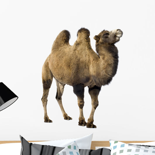 camel Wall Decal