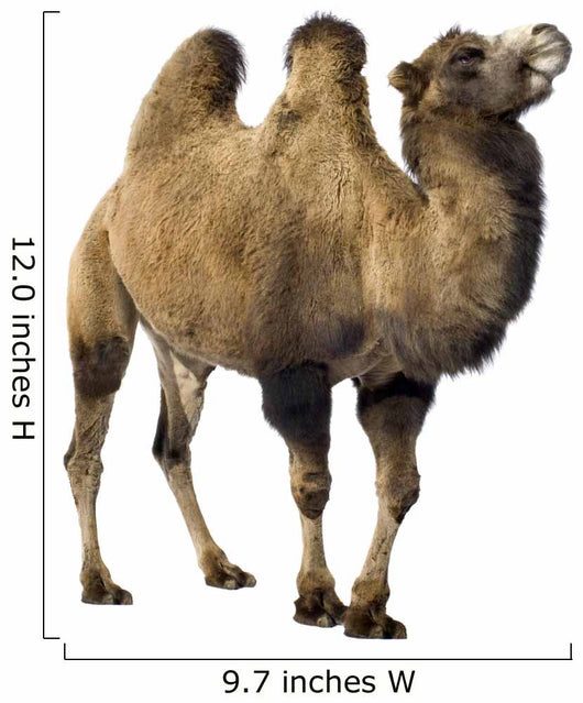 camel Wall Decal