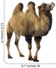 camel Wall Decal