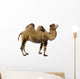 Camel Wall Decal