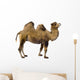 camel Wall Decal