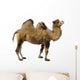 camel Wall Decal