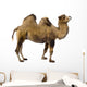camel Wall Decal