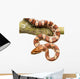 Corn Snake Wall Decal