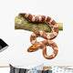 Corn Snake Wall Decal