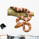 Corn Snake Wall Decal