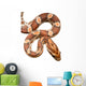 Corn Snake Wall Decal