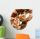 Corn Snake Wall Decal