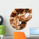 Corn Snake Wall Decal