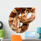 Corn Snake Wall Decal